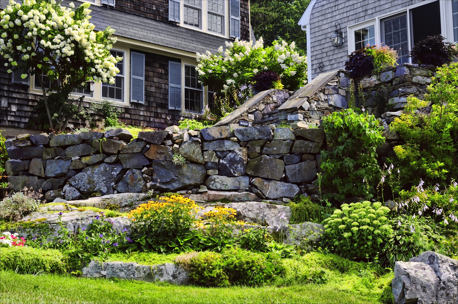 rock garden